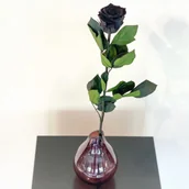 Sztuczne kwiaty - Czarna Wieczna Róża na Łodydze 50 cm - miniaturka - grafika 1