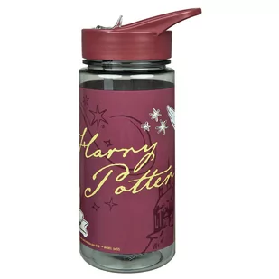Bidon do picia HARRY POTTER 500ml dla dzieci - Bidony dla dzieci - miniaturka - grafika 1