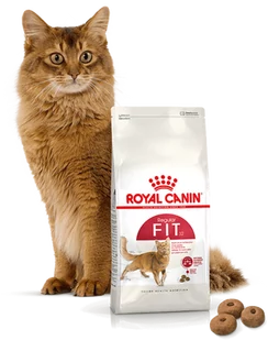 ROYAL CANIN  FIT 32 2kg + niespodzianka dla kota GRATIS! - Sucha karma dla kotów - miniaturka - grafika 4