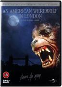 Filmy akcji DVD - Amerykański Wilkołak w Londynie - miniaturka - grafika 1