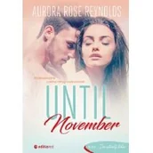 Powieści - Until November - miniaturka - grafika 1