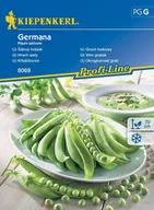 Nasiona i cebule - Groch Łuskowy Germana 8069 (St) - miniaturka - grafika 1