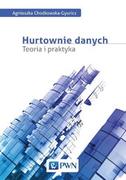 Historia Polski - Hurtownie danych - teoria i praktyka - Agnieszka Chodkowska-Gyurics - miniaturka - grafika 1