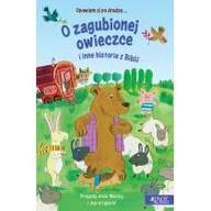 Literatura popularno naukowa dla młodzieży - Opowiem ci po drodze... O zagubionej owieczce i inne historie z Biblii - miniaturka - grafika 1
