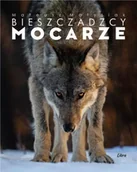 Albumy - przyroda - Album Bieszczadzcy mocarze - Wilk - Mateusz Matysiak - miniaturka - grafika 1