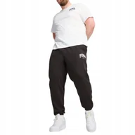 Koszulki męskie - KOSZULKA MĘSKA SQUAD SMALL GRAPHIC TEE PUMA XXL - miniaturka - grafika 1