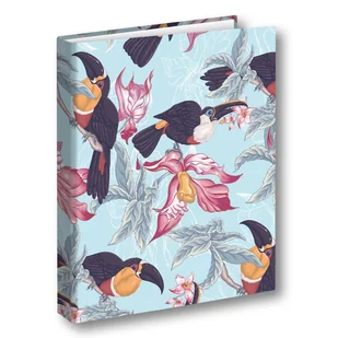 Penmate Segregator A42 na gumkę Tukan - Segregatory - miniaturka - grafika 1