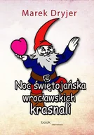 E-booki dla dzieci i młodzieży - Noc świętojańska wrocławskich krasnali - miniaturka - grafika 1