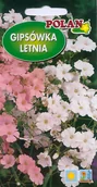 Nasiona i cebule - Gipsówka letnia mieszana 2 g POLAN - miniaturka - grafika 1