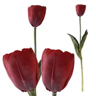 Sztuczne kwiaty - Tulipan Gumowany Jak Żywy Kwiaty Do Wazonu Dekoracyjne Czerwone Tulipany - miniaturka - grafika 1