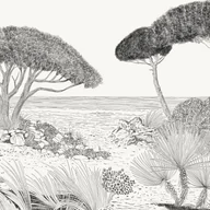 Fototapety - Fototapeta włoski krajobraz czarno-białym - 250 x 300 cm - KOMAR - miniaturka - grafika 1