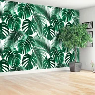 Fototapety - Fototapeta Monstera dziurawa - miniaturka - grafika 1