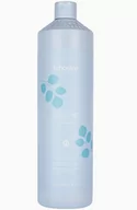 Szampony do włosów - Echosline Volume Szampon Dodający Objętość 1000 ml - miniaturka - grafika 1