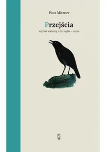 Przejścia - Poezja - miniaturka - grafika 2