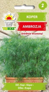 Koper ogrodowy AMBROSIA                           NEW
Anethum graveolens L. - Nasiona i cebule - miniaturka - grafika 1