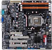 Asus Server Board P7F-M (P7F-M)