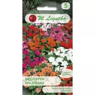 Nasiona i cebule - Niecierpek Waleriana F2 Mixed mieszanka 0.10g - miniaturka - grafika 1