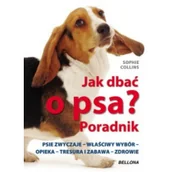 Poradniki hobbystyczne - Jak dbać o psa$1581 Poradnik Sophie Collins - miniaturka - grafika 1