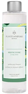 Olejek do dyfuzorów kolekcja Spring/Summer - Divine Mint - Boska Mięta - 200ml - Aromaterapia - miniaturka - grafika 1
