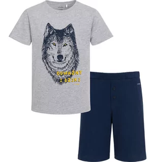 Piżamy chłopięce - Piżama z krotkim rękawem dla chłopca, z wilkiem, szara, 9-13 lat - grafika 1