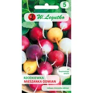 Nasiona i cebule - RZODKIEWKA MIESZANKA ODMIAN DUŻE OPAKOWANIE p. PL230/12/210/L149/A; PL330/12/210/L28/A - miniaturka - grafika 1