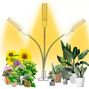 DKNY Damski sportowy sweter damski metaliczny medalion logo Cropped sweter, Czarny/z?oty, M - Swetry damskie - miniaturka - grafika 1