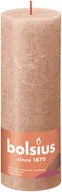 Świece - Bolsius Świeca Pieńkowa Rustic 19 cm KREMOWY KARMEL 149442 - miniaturka - grafika 1
