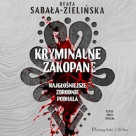 Audiobooki - biografie - Kryminalne Zakopane. Najgłośniejsze zbrodnie Podhala Beata Sabała-Zielińska - miniaturka - grafika 1