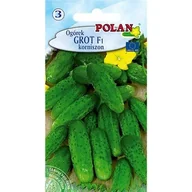 Nasiona i cebule - Ogórek Grot Polan - miniaturka - grafika 1
