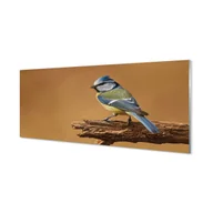 Tablice i flipcharty - Ochronny panel kuchenny między meble Ptak 125x50 cm - miniaturka - grafika 1