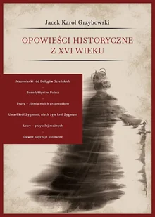 Opowieści historyczne z XVI wieku Jacek Grzybowski - Historia świata - miniaturka - grafika 2