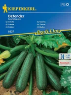 Nasiona i cebule - Cukinia Defender nasiona Kiepenkerl - miniaturka - grafika 1