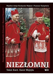 Niezłomni - Historia Polski - miniaturka - grafika 2