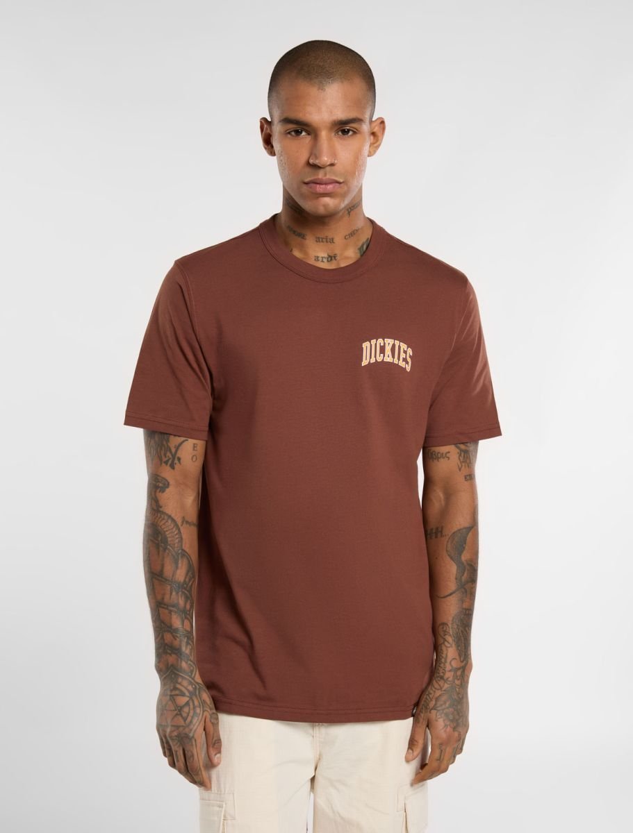 t-shirt uomo dickies aitkin chest - dk0a4y8o k471 cappuccino