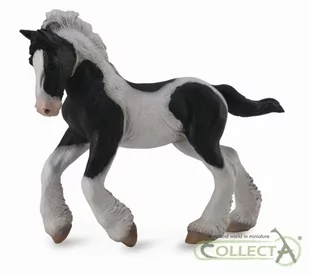 COLLECTA Koń rasy Tinker - źrebię maści srokatej M - Figurki dla dzieci - miniaturka - grafika 2