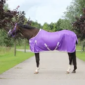 Derki dla konia - Derka siatkowa COLOR - QHP - miniaturka - grafika 1