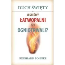 Duch Święty Jesteśmy łatwopalni czy ogniotrwali$326 Reinhard Bonnke - Religia i religioznawstwo - miniaturka - grafika 1