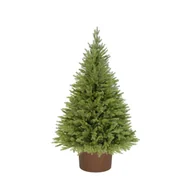 Choinki - ŚWIERK KAUKASKI W OKRĄGŁEJ DONICY 130 CM X-CHOINKA - miniaturka - grafika 1