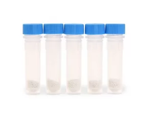 Probówka niebieska (grzyby) 2ml DNase/RNase free zirconium opak. 100 szt. - Akcesoria do urządzeń pomiarowych - miniaturka - grafika 1