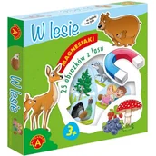 Gry planszowe - Alexander Magnesiaki W lesie - miniaturka - grafika 1