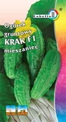 Nasiona i cebule - Ogórek konserwowy Krak 2g / L / - miniaturka - grafika 1