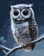 Malowanie po numerach - Ideyka Malowanie po numerach - Leśna sowa 40x50cm - miniaturka - grafika 1
