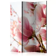 Parawany - Parawan 3-częściowy - Różowa magnolia [Room Dividers] (rozmiar 135x172) - miniaturka - grafika 1