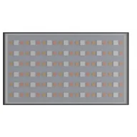 Lampy studyjne - Newell lampa Led RGB Vividha - miniaturka - grafika 1