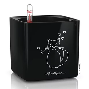 Lechuza Donica Stołowa Cube Glossy Cat 14 All-In-One, Czarna, Połysk - Donice - miniaturka - grafika 1