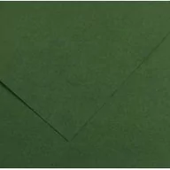 Szkolne artykuły papiernicze - Canson Brystol karton kolorowy Iris B2 50x70 cm zielony - miniaturka - grafika 1