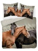 Pościel - Pościel  220x200 bawełniana Holland konie - miniaturka - grafika 1
