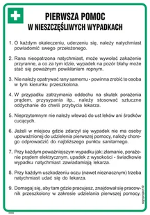 DD002 PIERWSZA POMOC W NIESZCZĘŚLIWYCH WYPADKACH, HN - PŁYTA ELASTYCZNA 0,4MM; (245X350MM) - Instrukcje stanowiskowe BHP - miniaturka - grafika 1