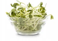 Nasiona i cebule - NASIONA NA kiełki SŁONECZNIK duże opakowanie NASIONA źródło witamin p. 139360; PL302/23/4617/L6/A; - miniaturka - grafika 1