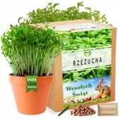 Nasiona i cebule - Rzeżucha Wielkanocna Zestaw do uprawy Święta Wielkanoc nasiona kiełki XL - miniaturka - grafika 1